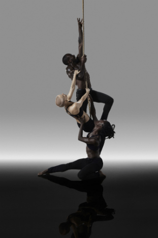 Blue Boy Entertainment - Blak Whyte Gray. image courtesy Carl Fox